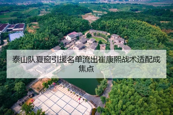 泰山队夏窗引援名单流出崔康熙战术适配成焦点